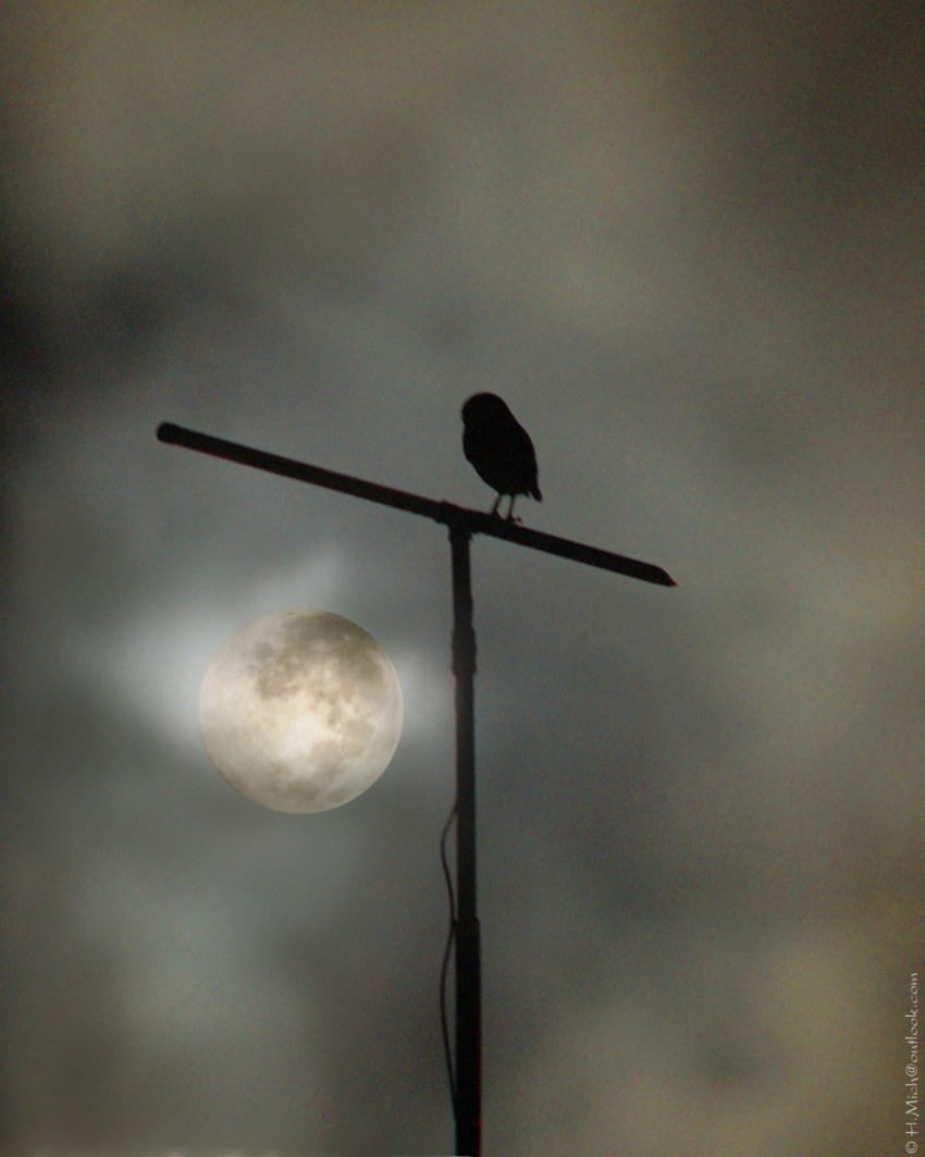 Studio-One.Art.br Repo Fotografia em Rio Preto SP/Brasil