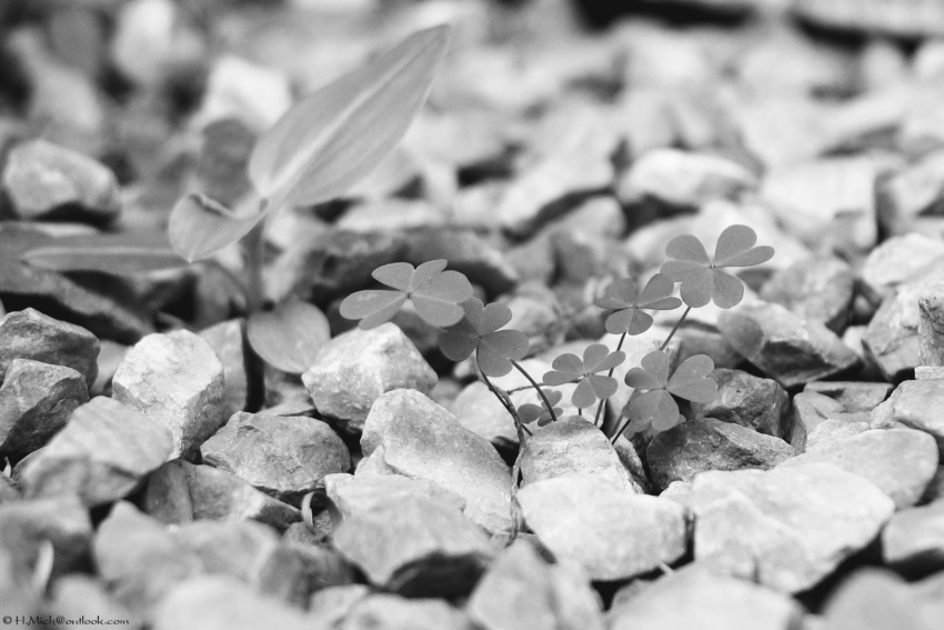 Studio-One.Art.br Repo Fotografia em Rio Preto SP/Brasil