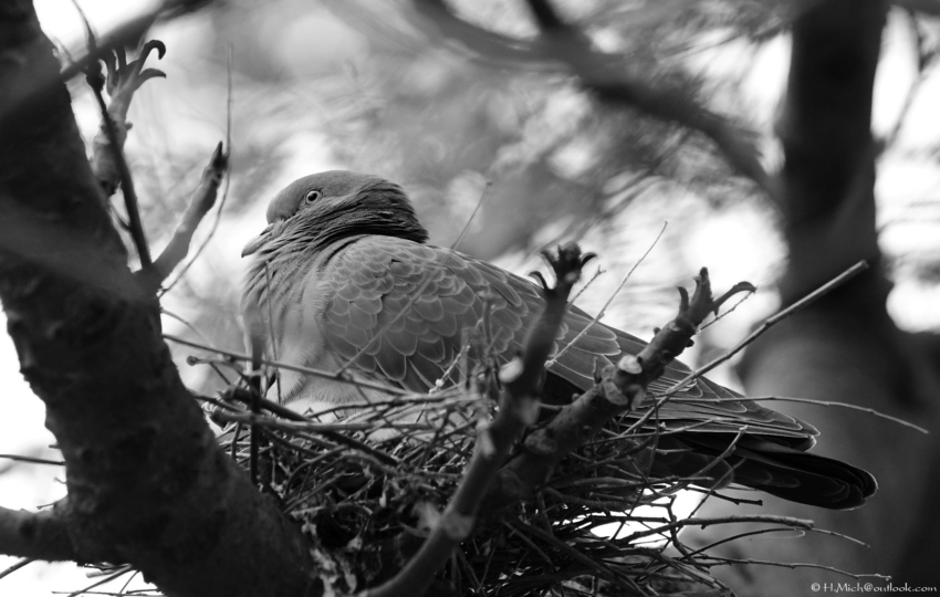 Studio-One.Art.br Repo Fotografia em Rio Preto SP/Brasil