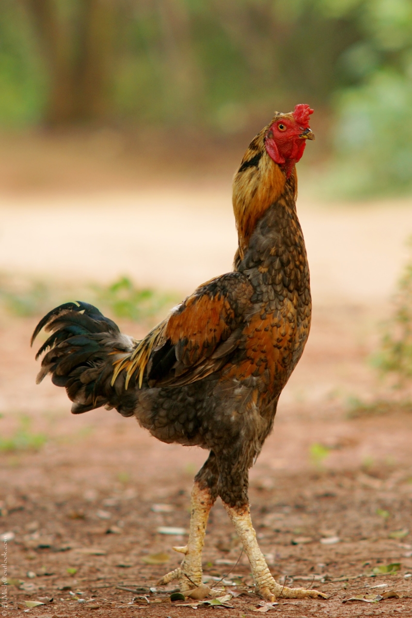 Studio-One.Art.br Repo Fotografia em Rio Preto SP/Brasil