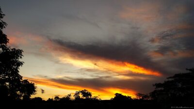 2022 06 15(114)