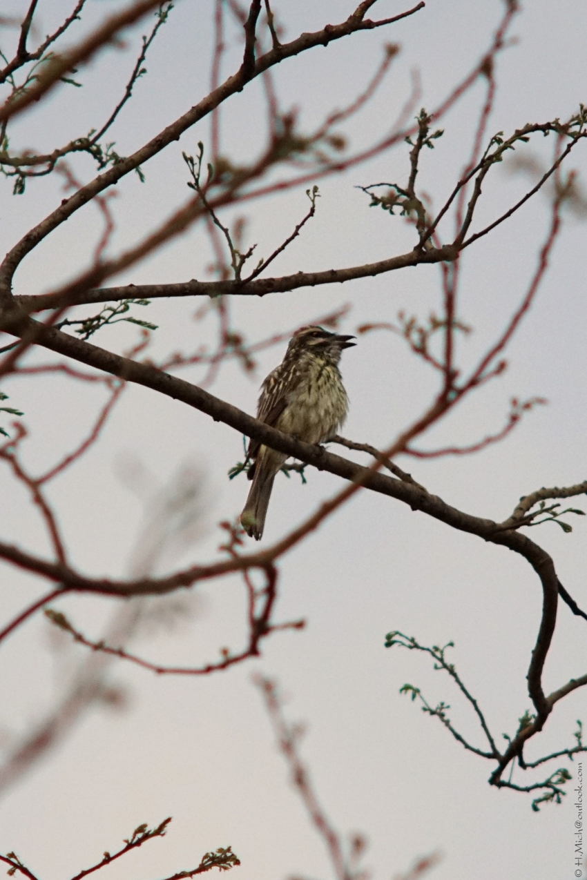 Studio-One.Art.br Repo Fotografia em Rio Preto SP/Brasil