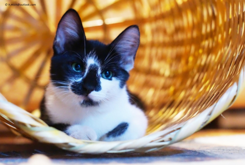 Studio-One.Art.br Repo Fotografia em Rio Preto SP/Brasil