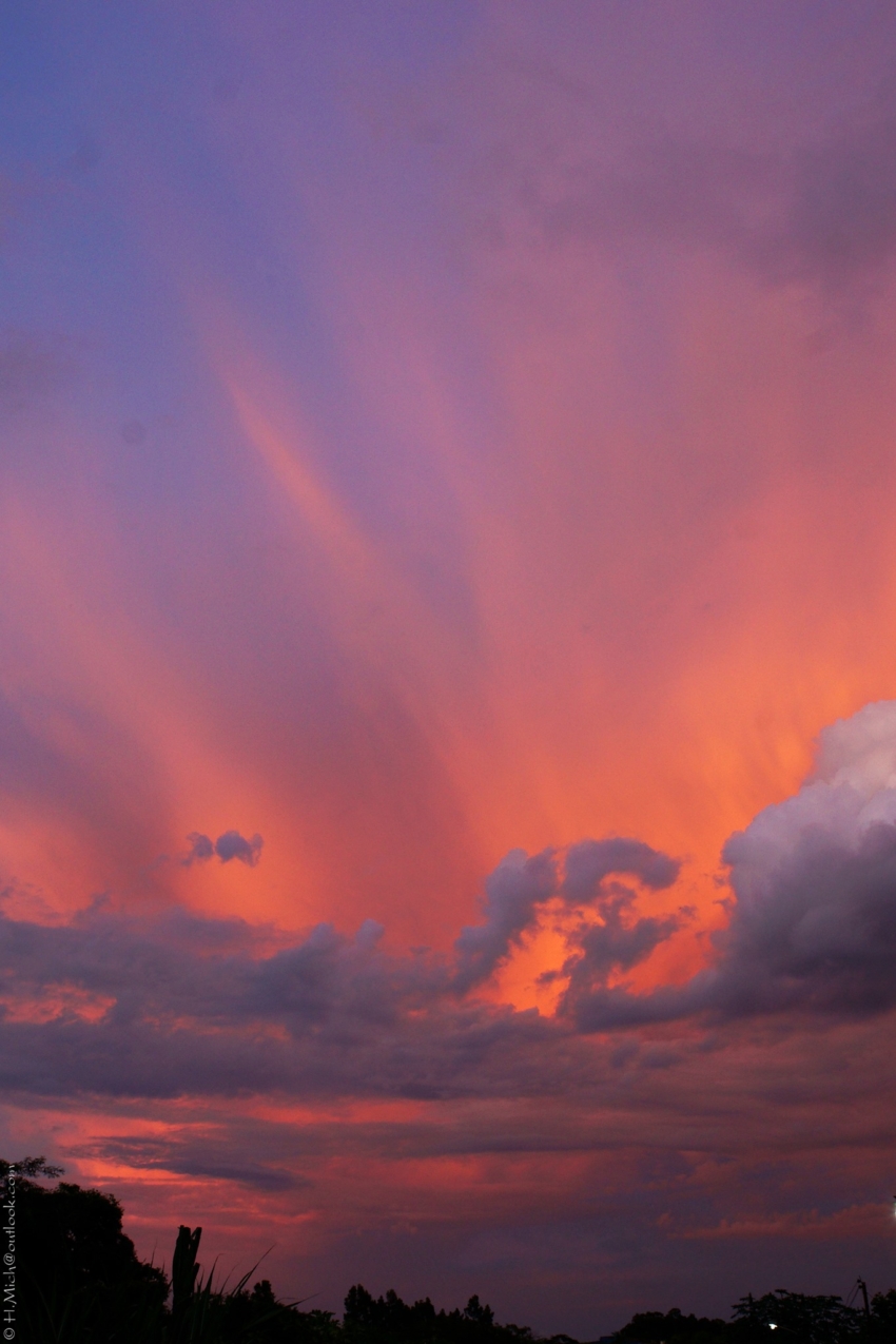 Studio-One.Art.br Repo Fotografia em Rio Preto SP/Brasil