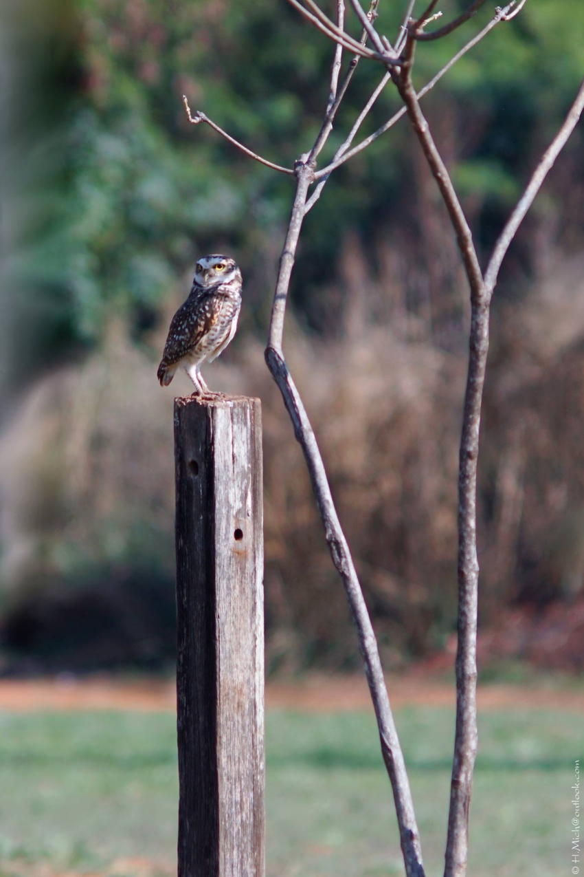 Studio-One.Art.br Repo Fotografia em Rio Preto SP/Brasil