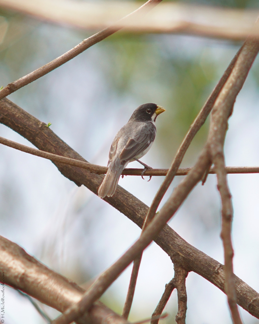 Studio-One.Art.br Repo Fotografia em Rio Preto SP/Brasil