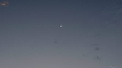 2022 06 15(116)
