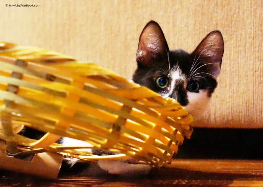 Studio-One.Art.br Repo Fotografia em Rio Preto SP/Brasil