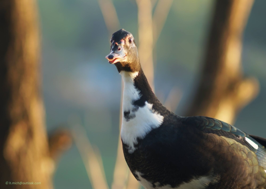 Studio-One.Art.br Repo Fotografia em Rio Preto SP/Brasil