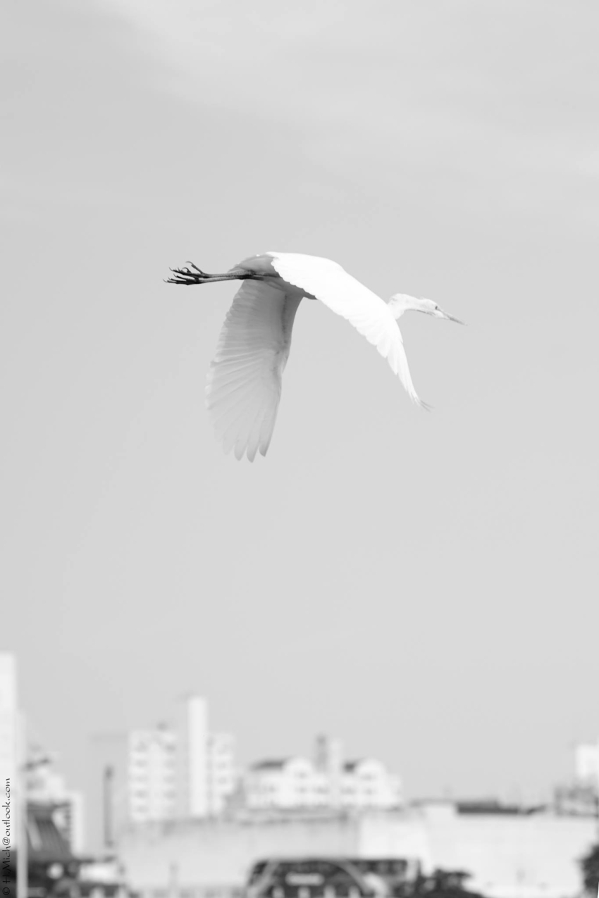 Studio-One.Art.br Repo Fotografia em Rio Preto SP/Brasil