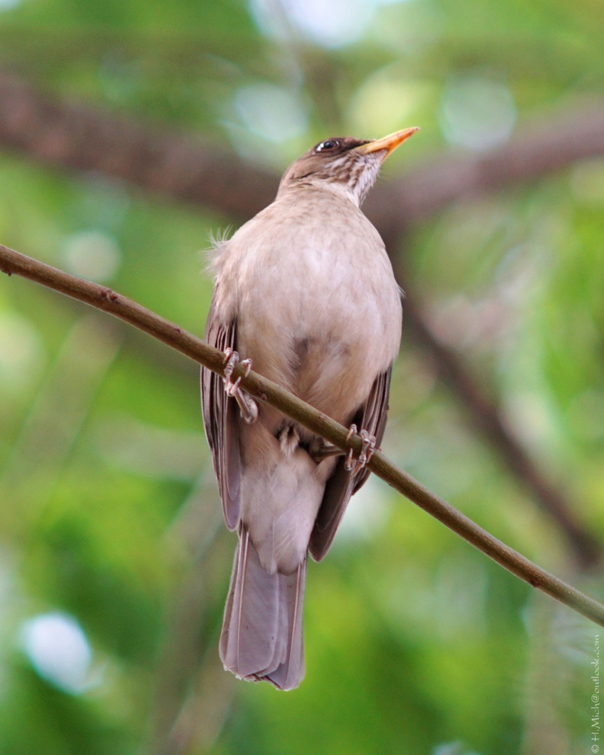Studio-One.Art.br Repo Fotografia em Rio Preto SP/Brasil