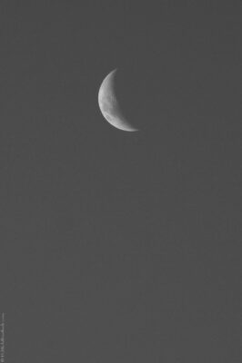 2022 06 15(118)