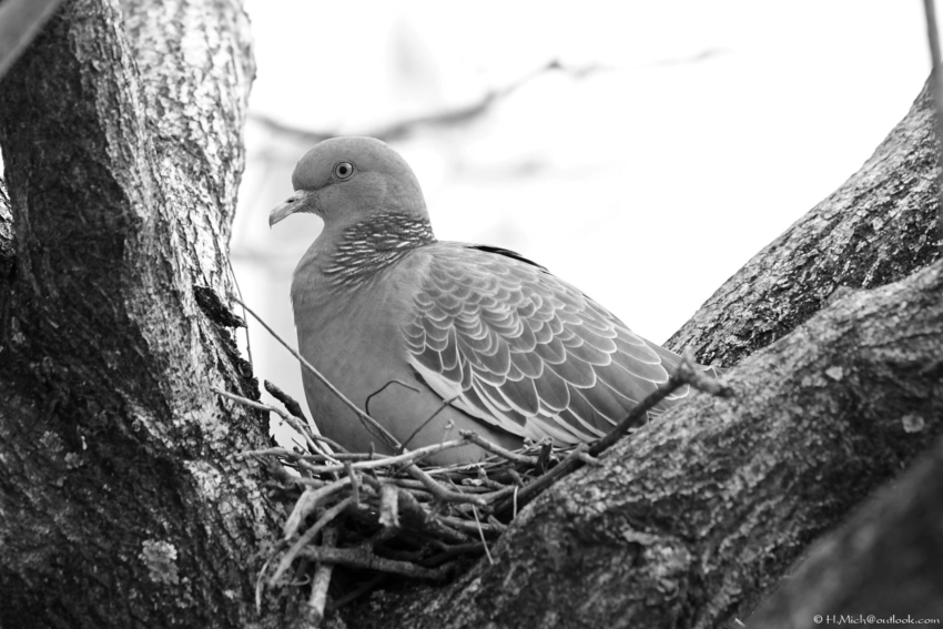Studio-One.Art.br Repo Fotografia em Rio Preto SP/Brasil