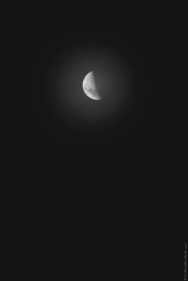 2022 06 15(119)