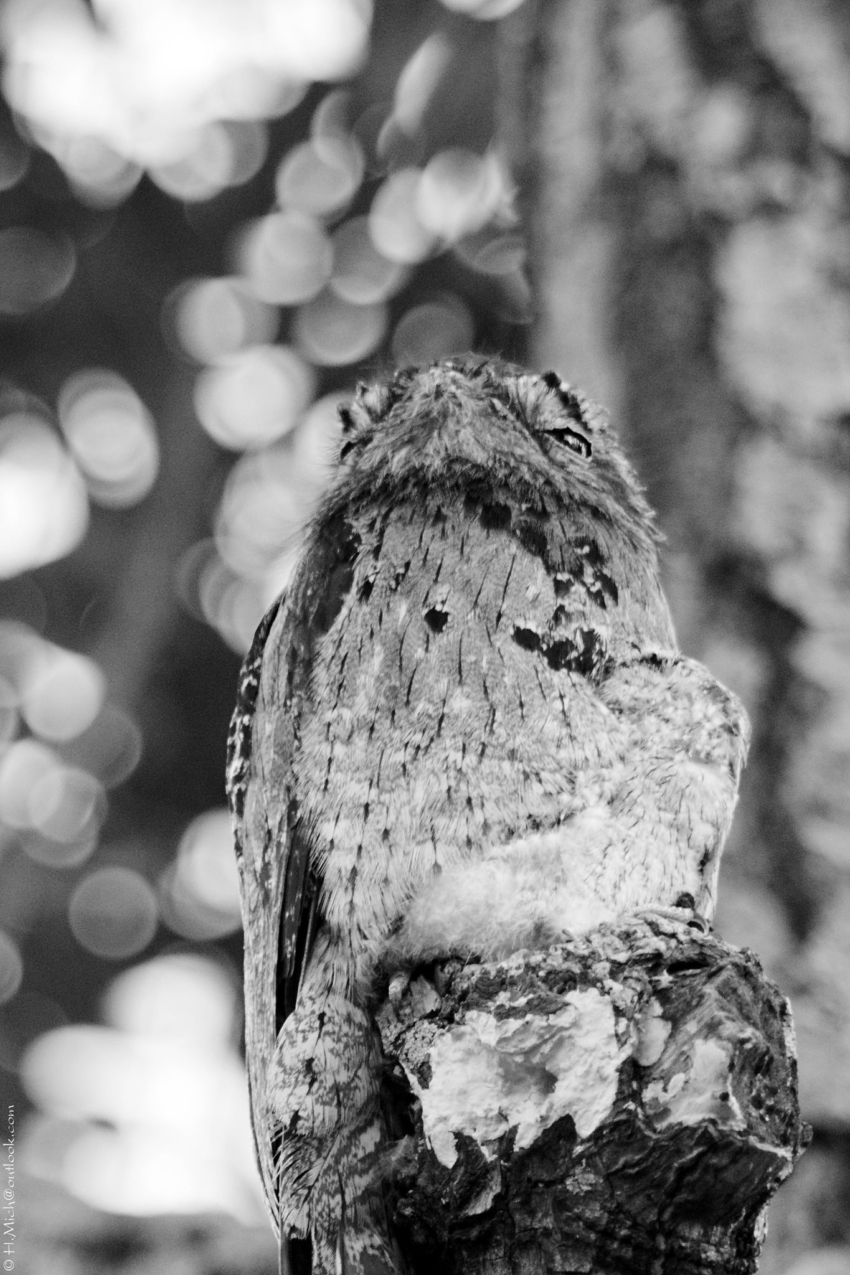 Studio-One.Art.br Repo Fotografia em Rio Preto SP/Brasil