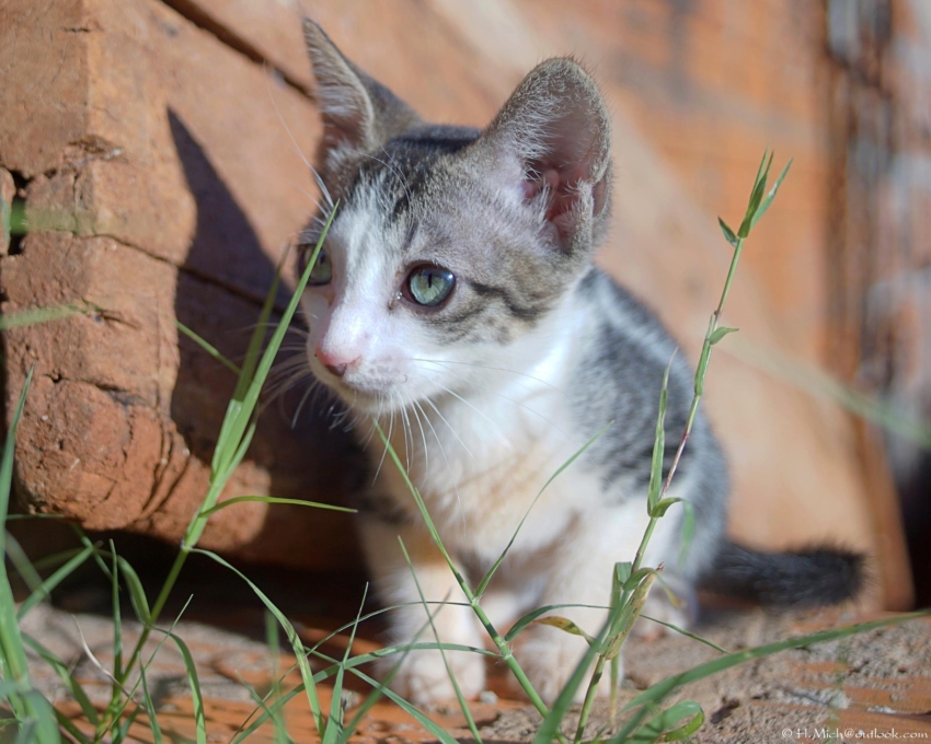 Studio-One.Art.br Repo Fotografia em Rio Preto SP/Brasil
