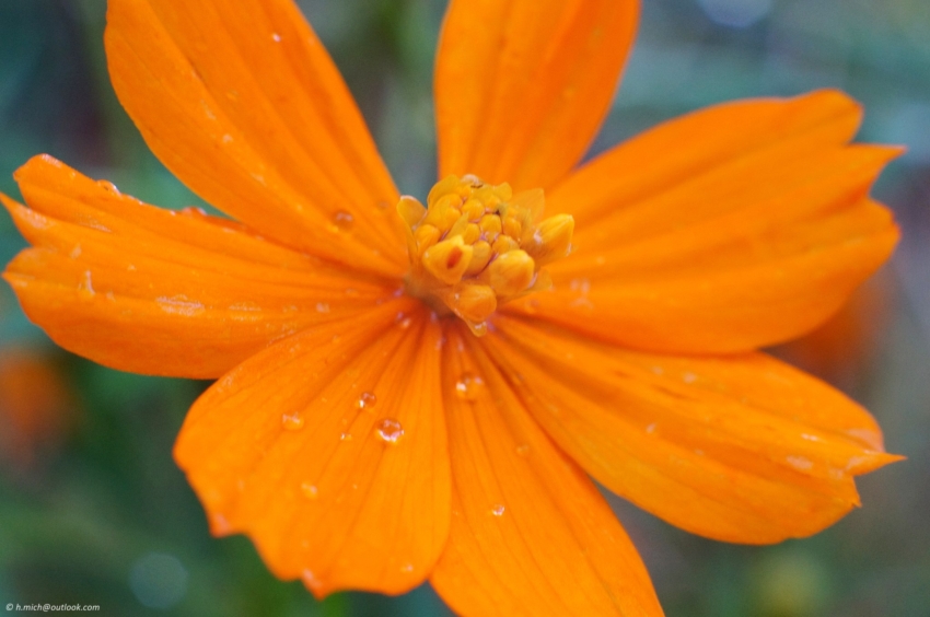 Studio-One.Art.br Repo Fotografia em Rio Preto SP/Brasil