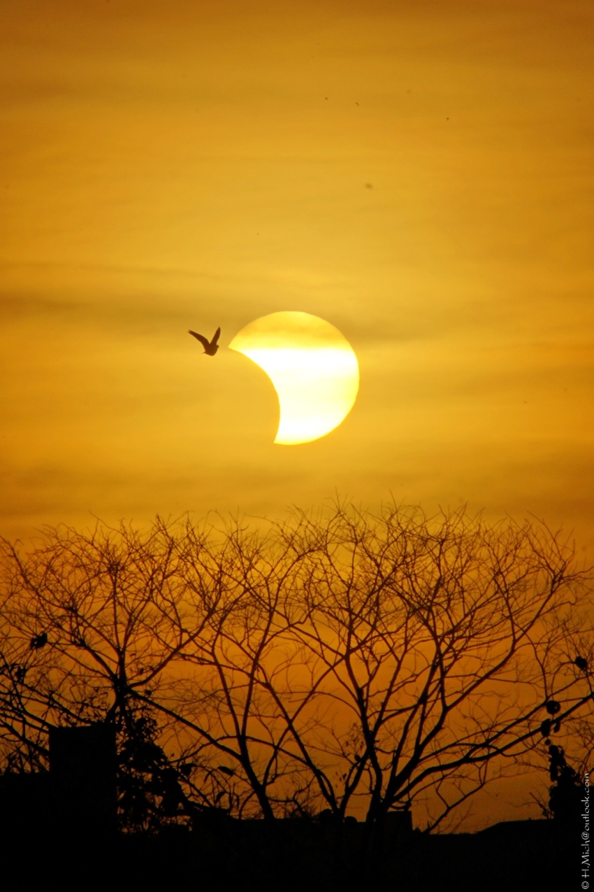 Studio-One.Art.br Repo Fotografia em Rio Preto SP/Brasil