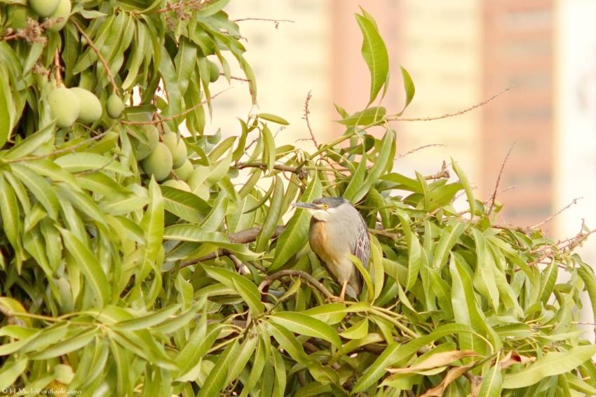 Studio-One.Art.br Repo Fotografia em Rio Preto SP/Brasil