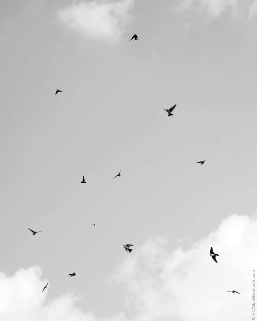 Studio-One.Art.br Repo Fotografia em Rio Preto SP/Brasil