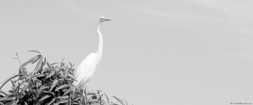 Studio-One.Art.br Repo Fotografia em Rio Preto SP/Brasil