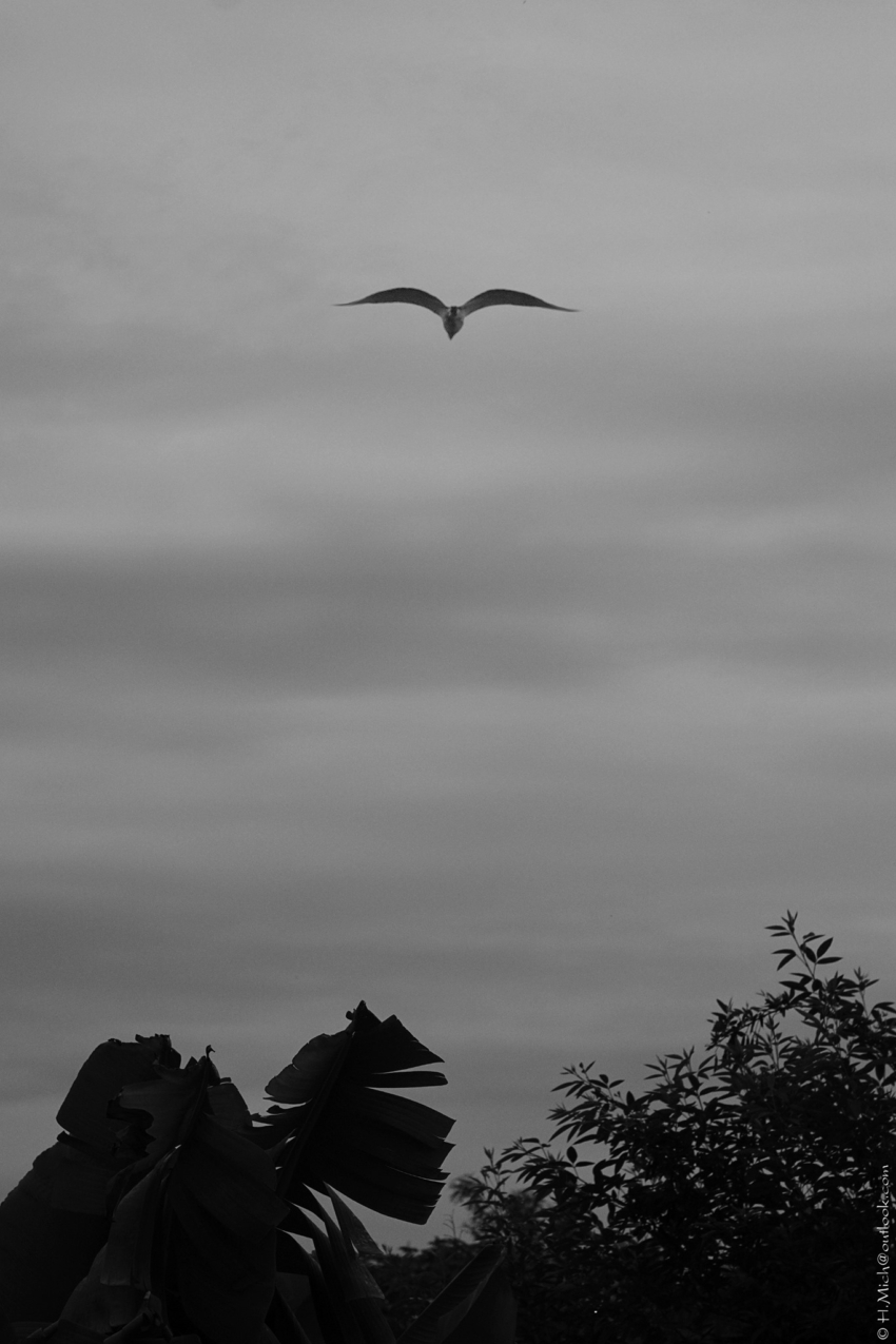 Studio-One.Art.br Repo Fotografia em Rio Preto SP/Brasil