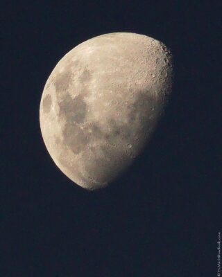 2022 06 15(121)