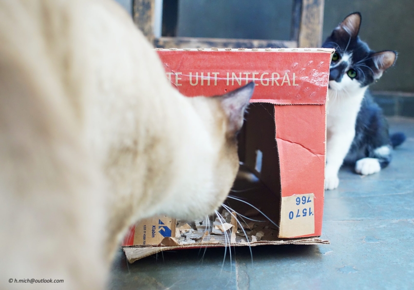 Studio-One.Art.br Repo Fotografia em Rio Preto SP/Brasil