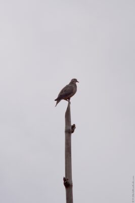 2022 06 15(122)