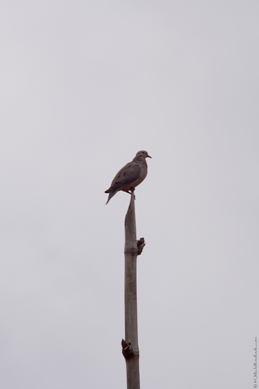 Studio-One.Art.br Repo Fotografia em Rio Preto SP/Brasil