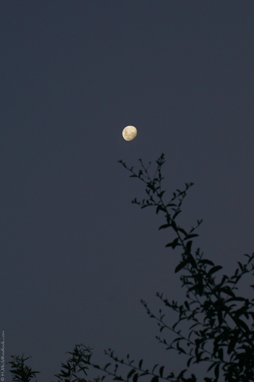 Studio-One.Art.br Repo Fotografia em Rio Preto SP/Brasil