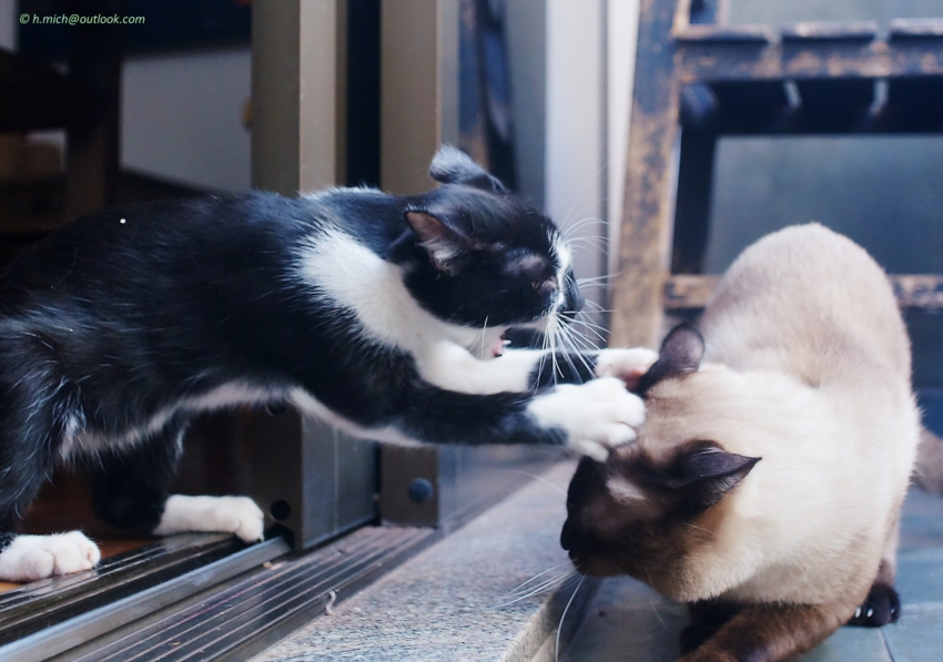 Studio-One.Art.br Repo Fotografia em Rio Preto SP/Brasil