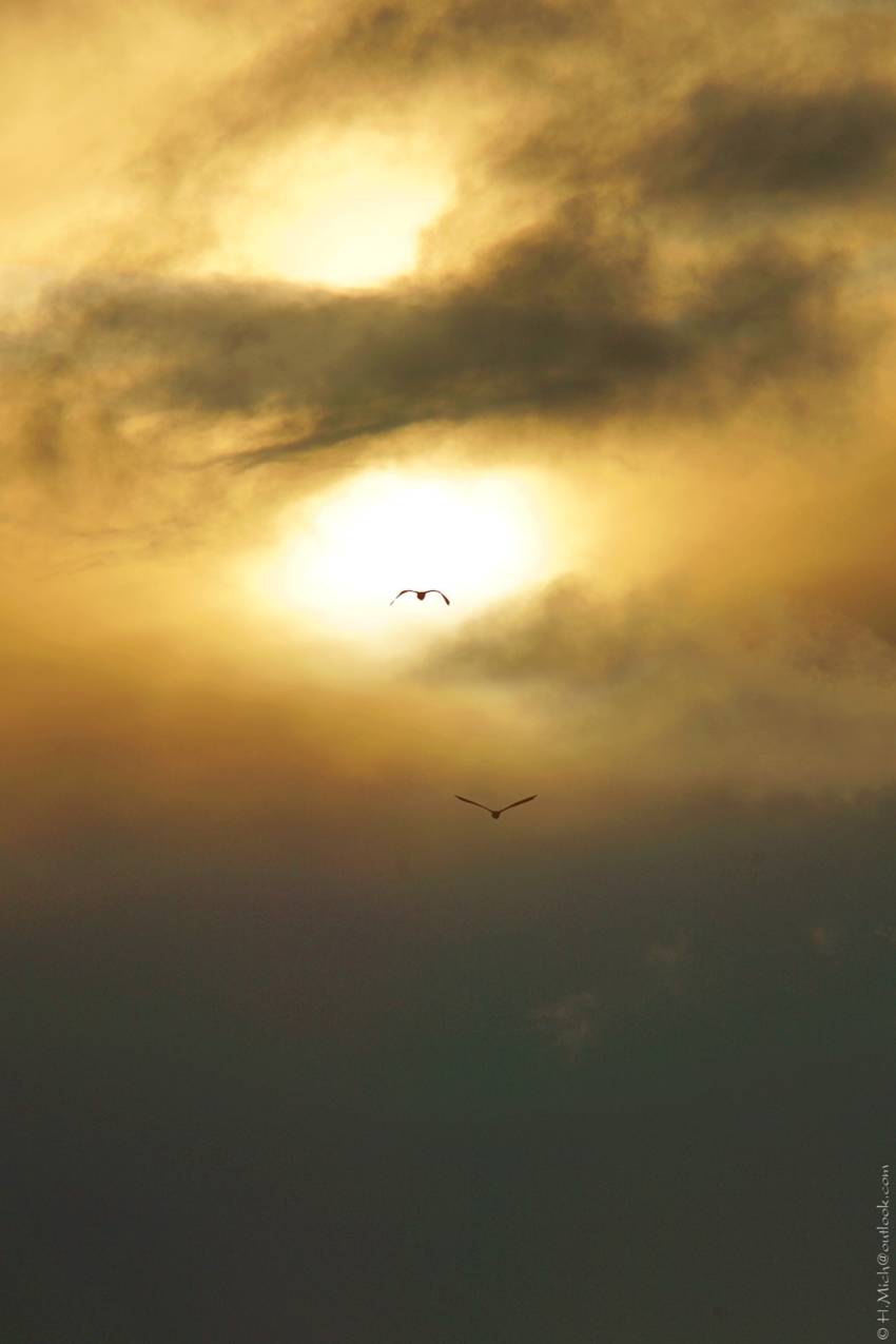 Studio-One.Art.br Repo Fotografia em Rio Preto SP/Brasil