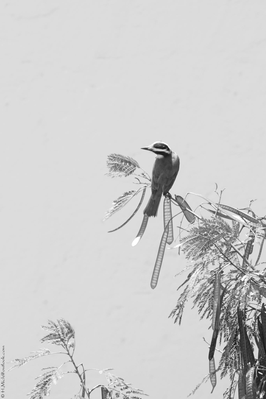 Studio-One.Art.br Repo Fotografia em Rio Preto SP/Brasil