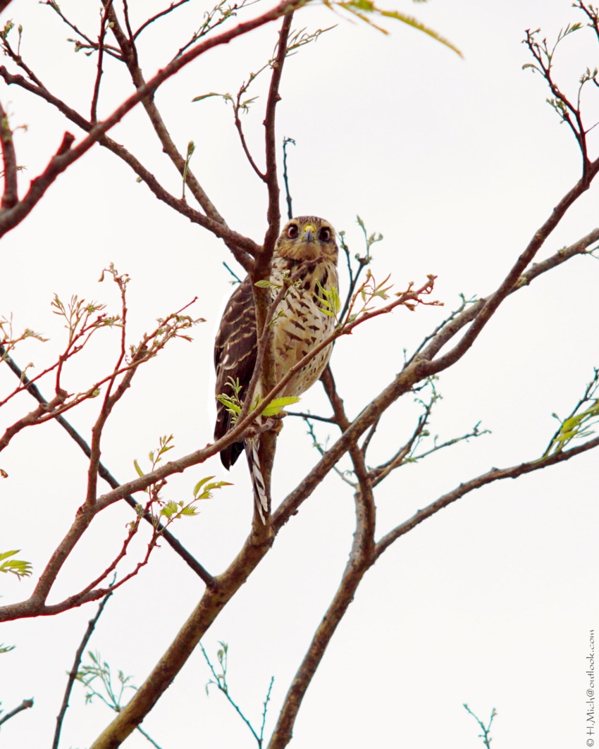 Studio-One.Art.br Repo Fotografia em Rio Preto SP/Brasil
