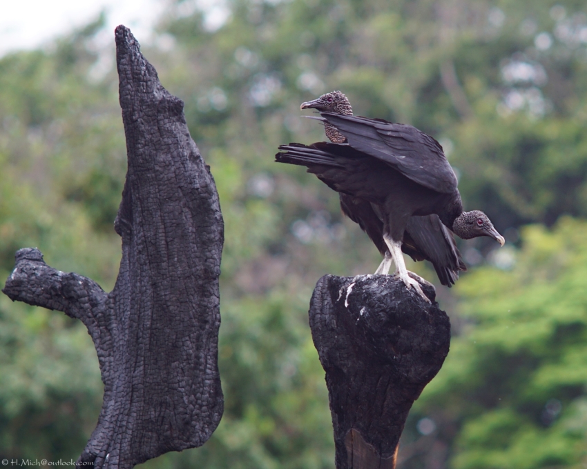 Studio-One.Art.br Repo Fotografia em Rio Preto SP/Brasil