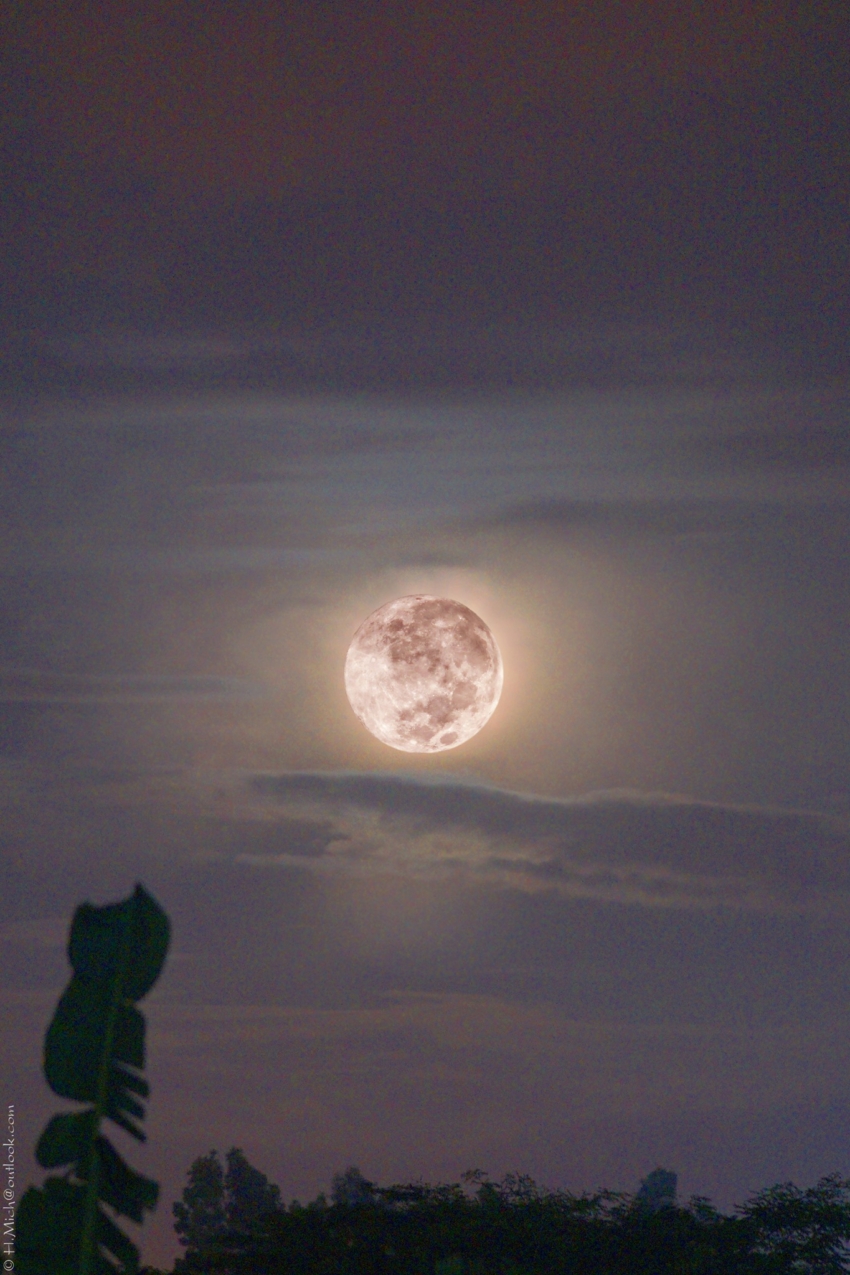 Studio-One.Art.br Repo Fotografia em Rio Preto SP/Brasil