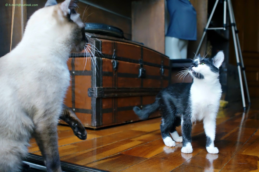 Studio-One.Art.br Repo Fotografia em Rio Preto SP/Brasil