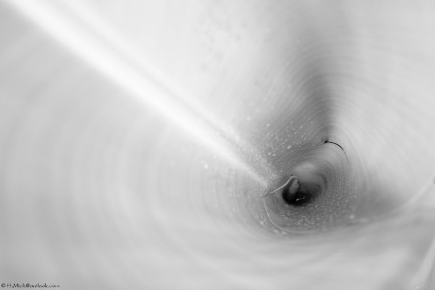 Studio-One.Art.br Repo Fotografia em Rio Preto SP/Brasil