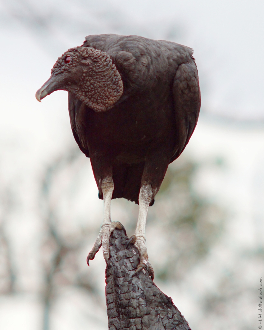 Studio-One.Art.br Repo Fotografia em Rio Preto SP/Brasil