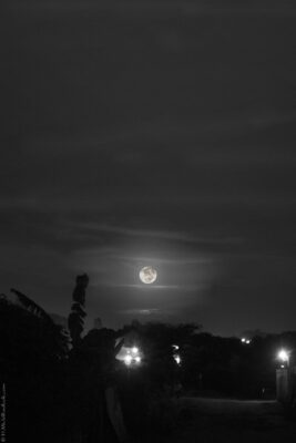 2022 06 15(125)