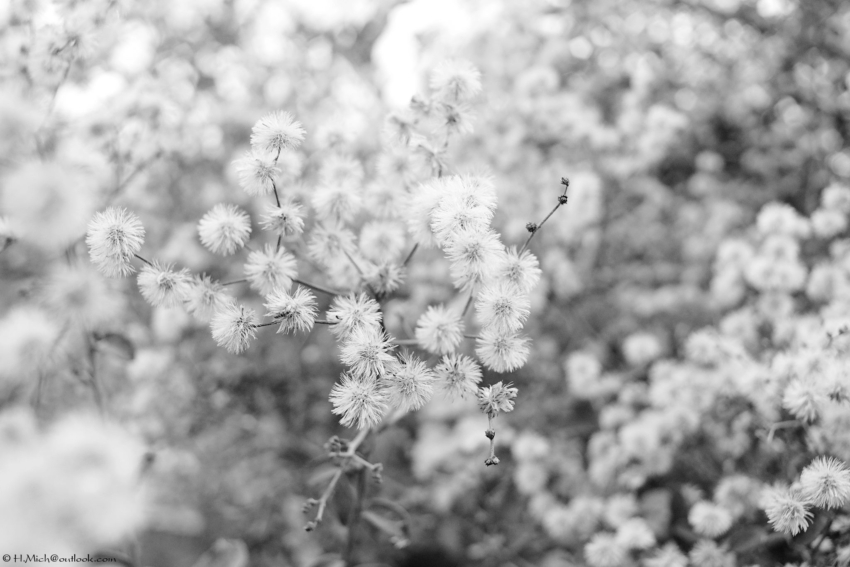 Studio-One.Art.br Repo Fotografia em Rio Preto SP/Brasil