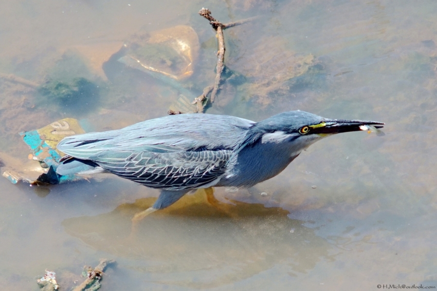 Studio-One.Art.br Repo Fotografia em Rio Preto SP/Brasil