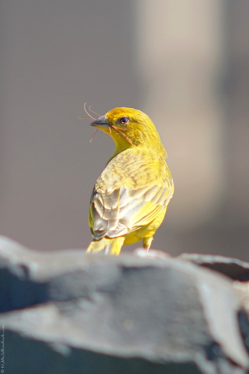 Studio-One.Art.br Repo Fotografia em Rio Preto SP/Brasil