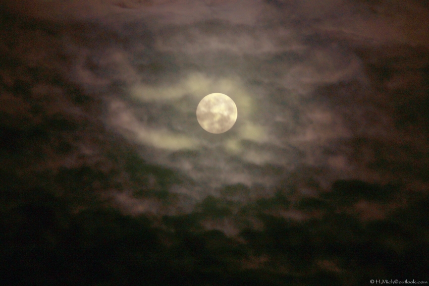 Studio-One.Art.br Repo Fotografia em Rio Preto SP/Brasil