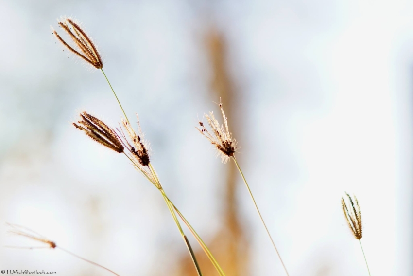 Studio-One.Art.br Repo Fotografia em Rio Preto SP/Brasil