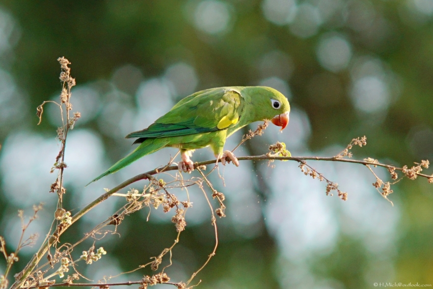 Studio-One.Art.br Repo Fotografia em Rio Preto SP/Brasil