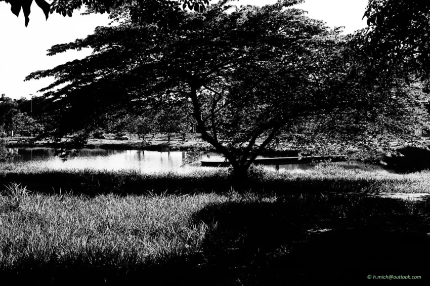 Studio-One.Art.br Repo Fotografia em Rio Preto SP/Brasil