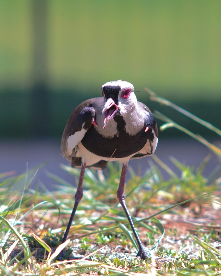 Studio-One.Art.br Repo Fotografia em Rio Preto SP/Brasil