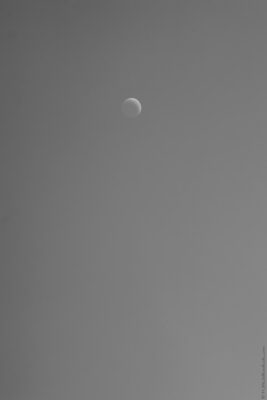 2022 06 15(129)
